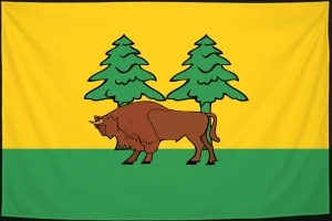 Флаг